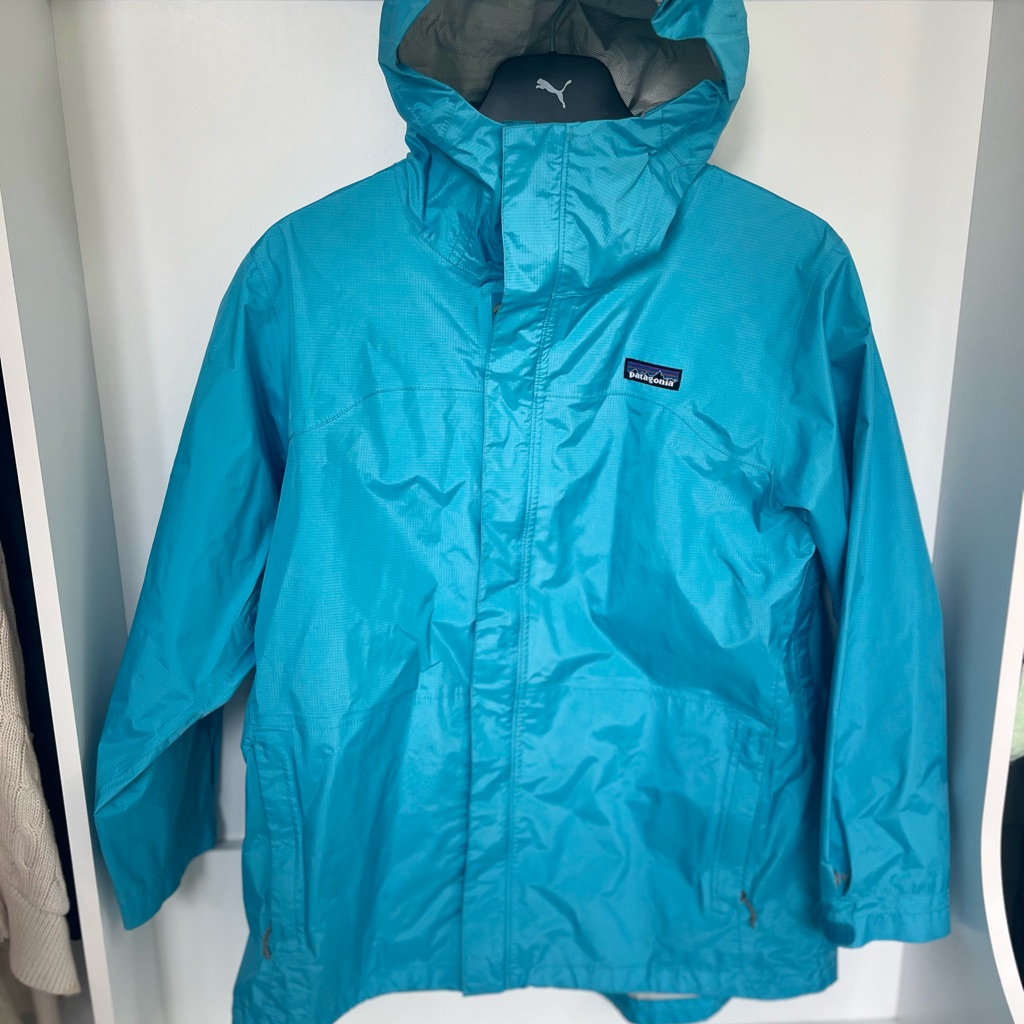 Patagonia Blue Hooded Jacket